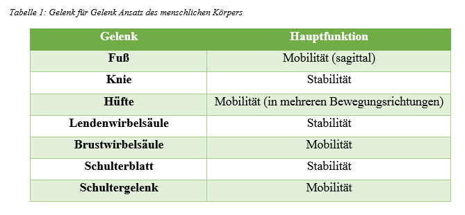 Tabelle 1 Gelenk -Gelenk Ansatz